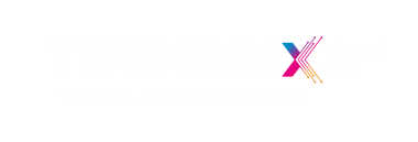 Virtual team experience
